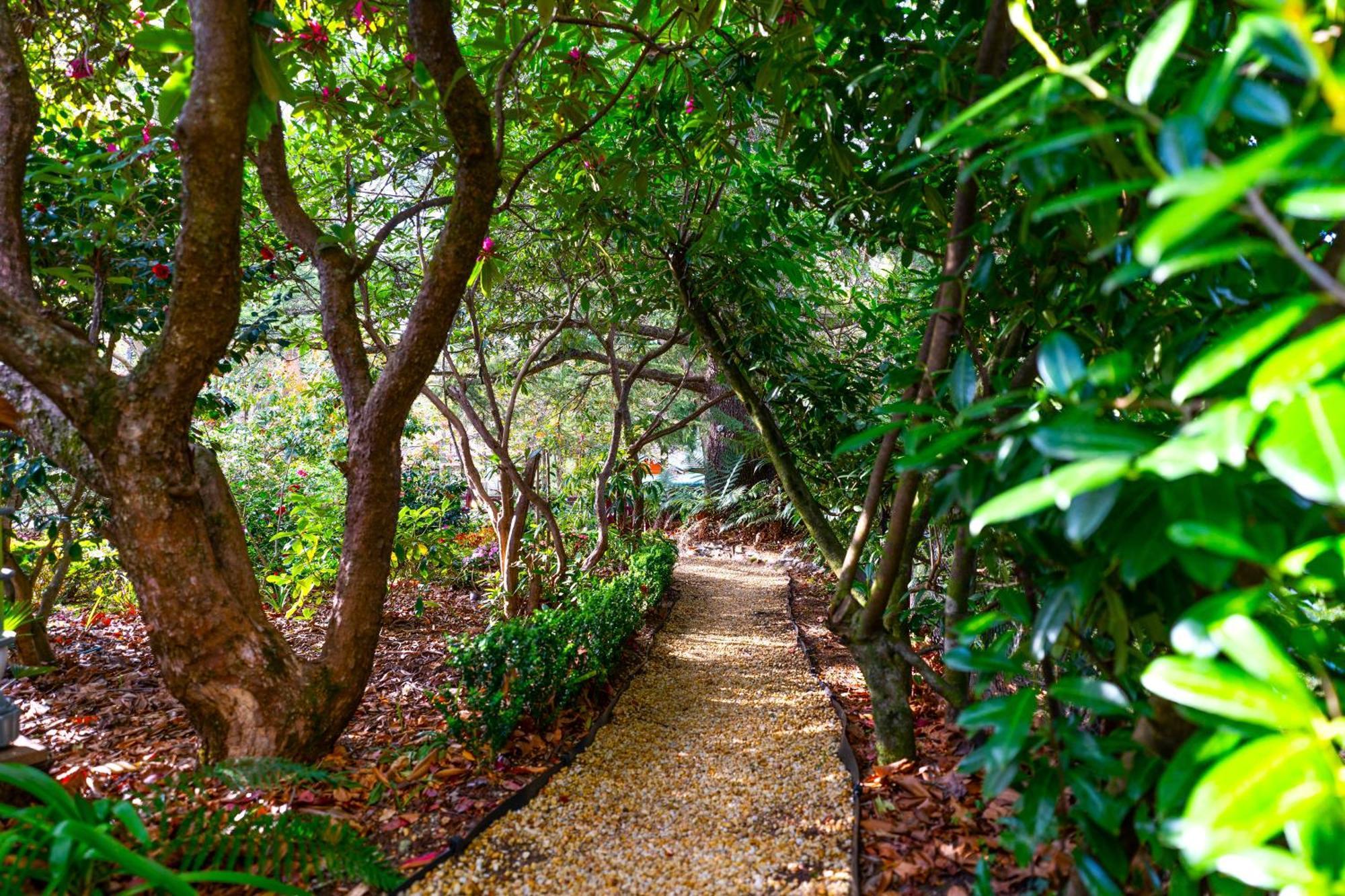 Kubba Roonga Guesthouse - Boutique Luxury Spa Retreat & Gardens - Blue Mountains Blackheath Ngoại thất bức ảnh