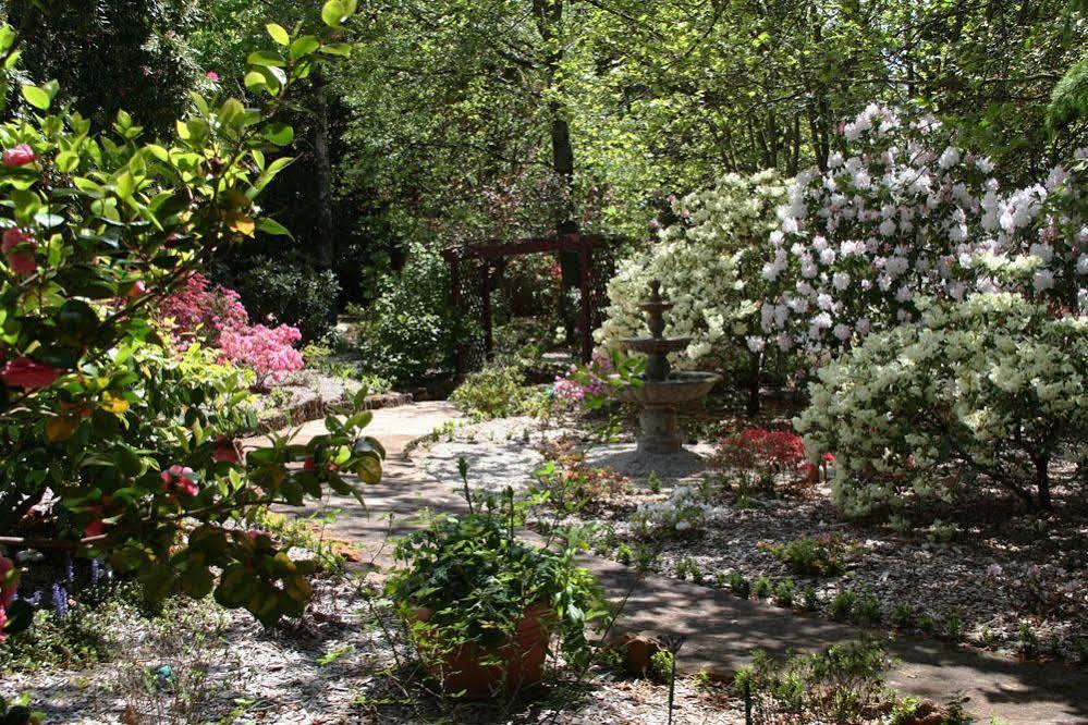 Kubba Roonga Guesthouse - Boutique Luxury Spa Retreat & Gardens - Blue Mountains Blackheath Ngoại thất bức ảnh